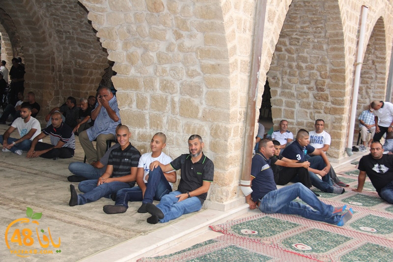 3ed ad7a mahmoudaia (9).JPG